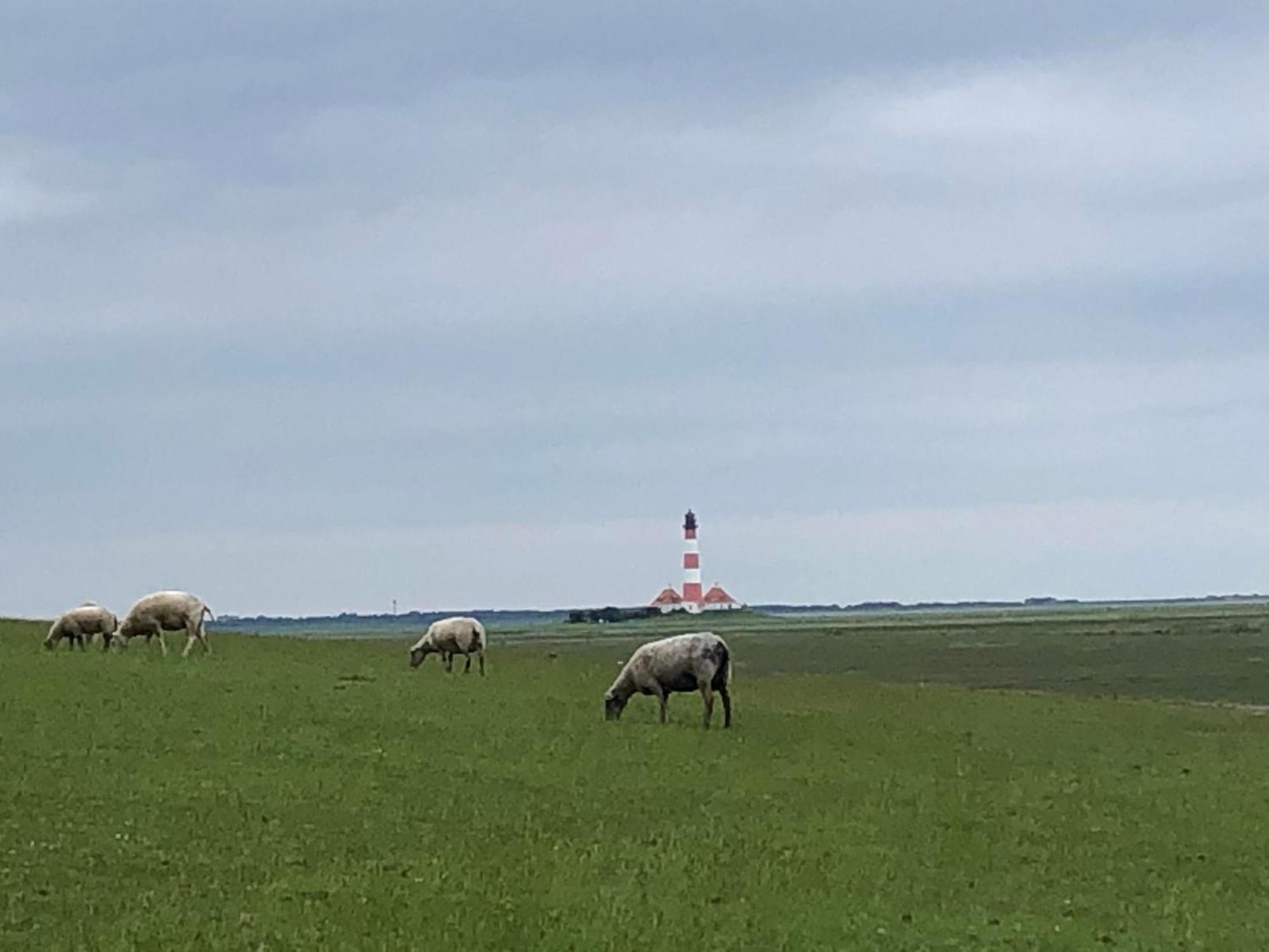 Haubarg Alte Strandvogtei Westerhever Exteriér fotografie